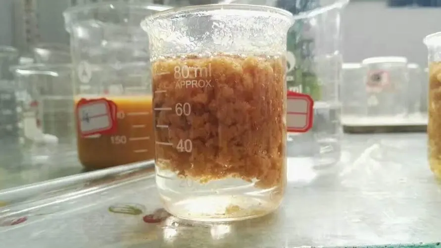 聚合氯化鋁 聚合氯化鋁